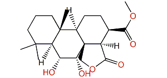 Dendrillol 4